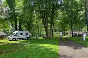 Wohnmobil auf einem Stellplatz im Grünen, gepflasterter Weg, Bäume und weitere Fahrzeuge auf dem Campinggelände.