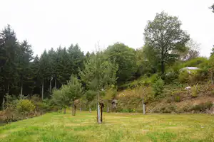 Camping Schafbachmuehle - Obstwiese.jpg