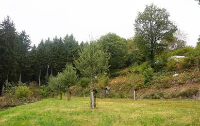 Camping Schafbachmühle
