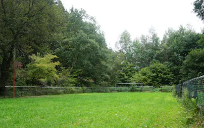 Camping Schafbachmühle