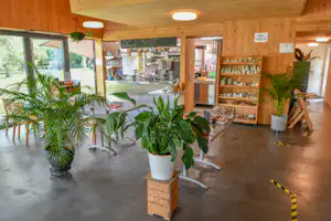 Camping Schaffhausen - Freizeitanlage Rheinwiese - Campingplatz Rezeption