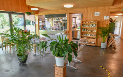 Camping Schaffhausen