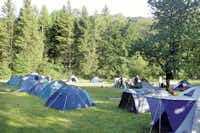 Camping Schatzlmühle  -  Zeltplatz vom Campingplatz auf grüner Wiese