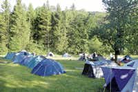 Camping Schatzlmühle  -  Zeltplatz vom Campingplatz auf grüner Wiese