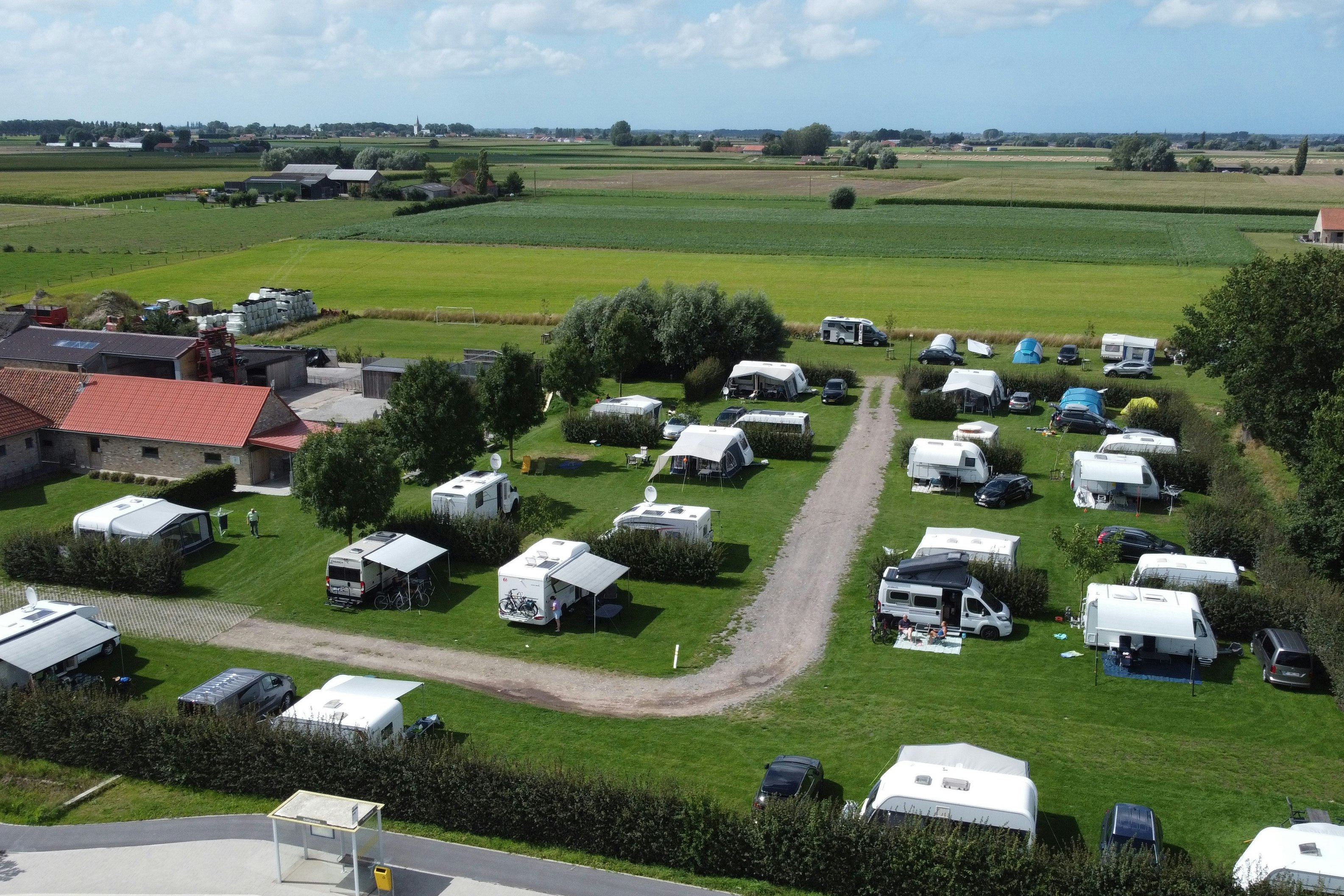 Camping Scheibeekhoeve - Standplatzwiese auf dem Campingplatz