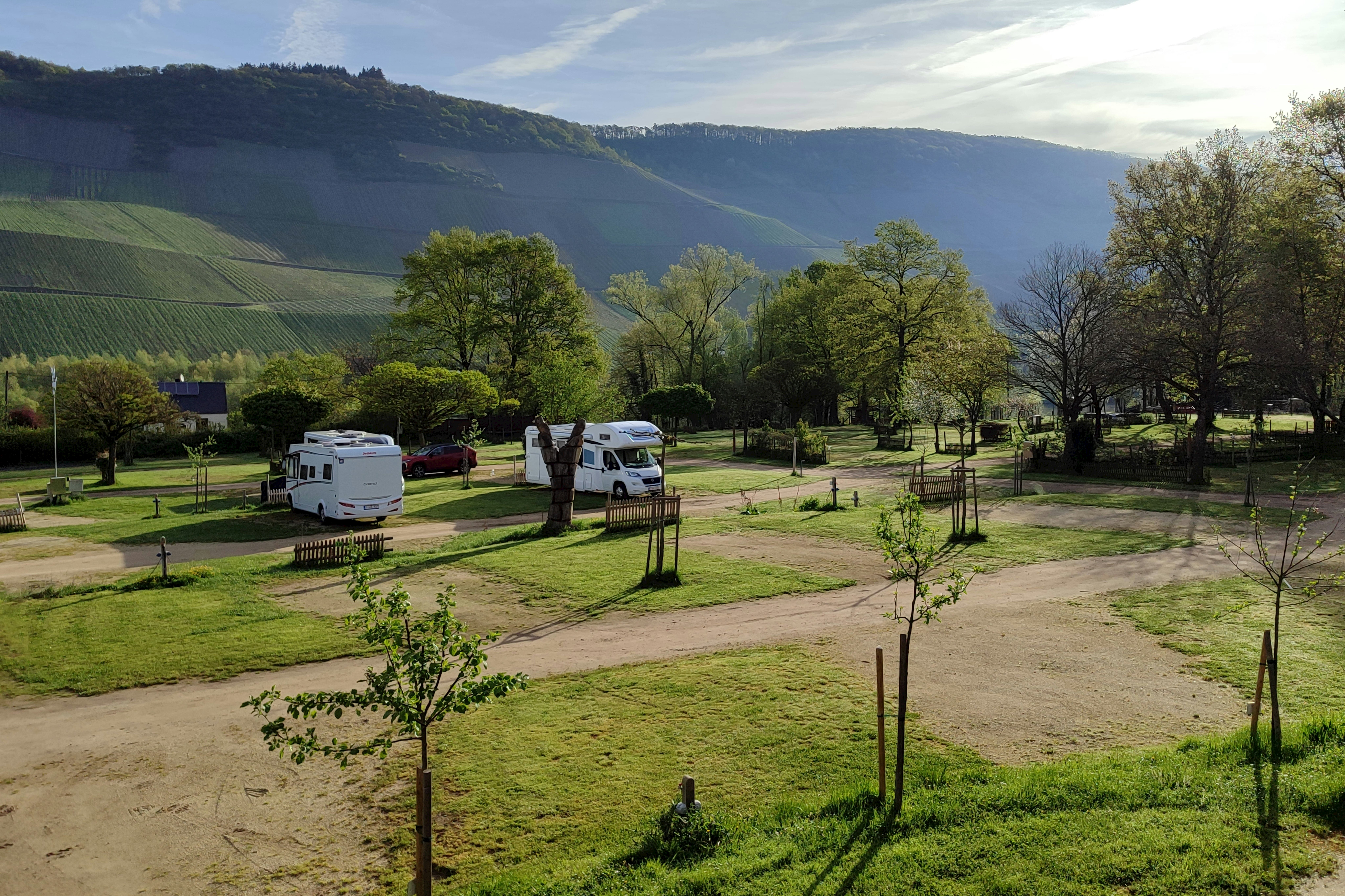 MoselCamping Bernkastel  Camping Schenk - Standplätze auf dem Campingplatz