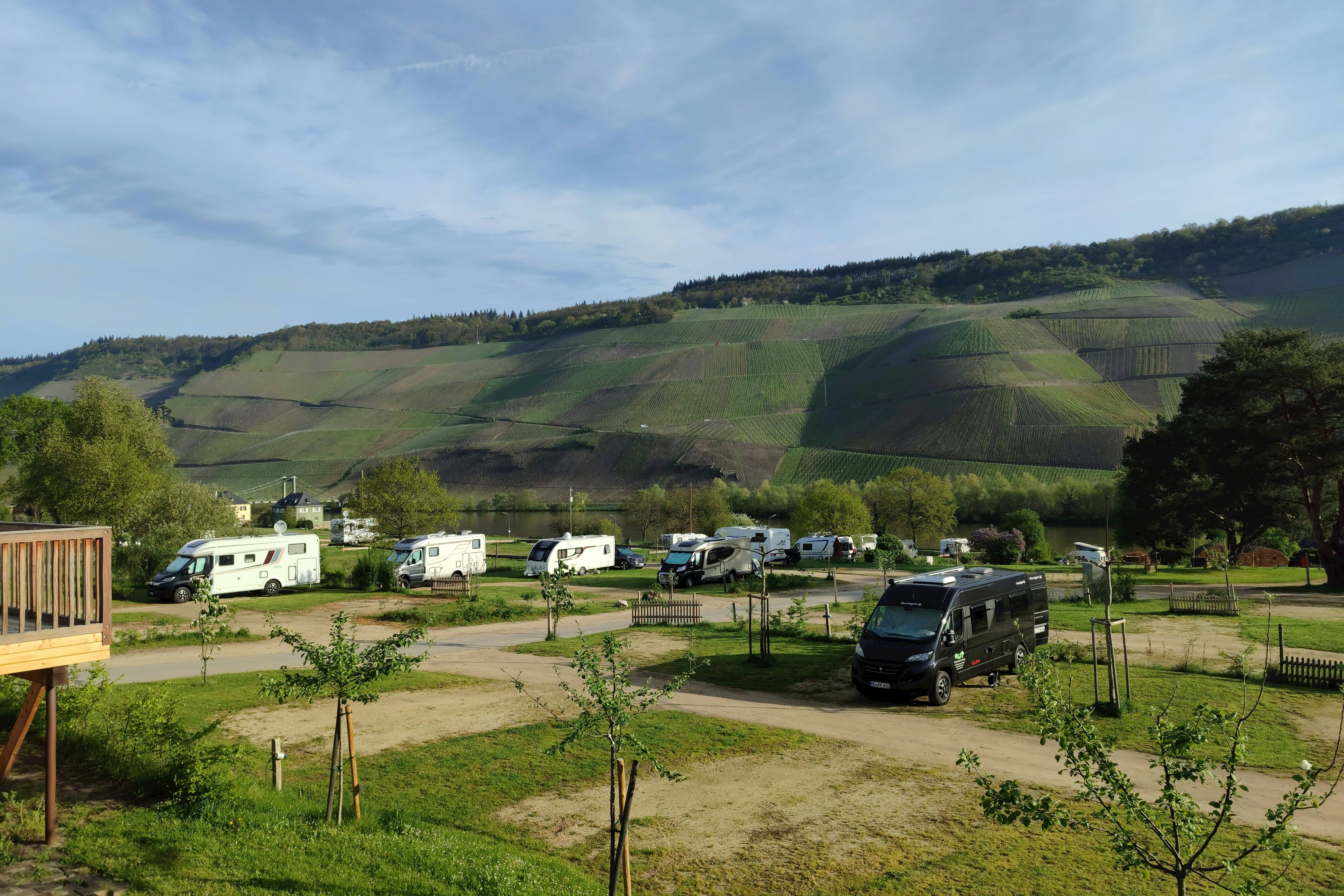 MoselCamping Bernkastel  Camping Schenk - Standplätze auf dem Campingplatz