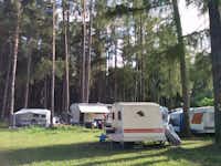 Camping Schießstand - Wohnmobilstellplatz im Schatten der Bäume auf dem Campingplatz