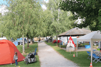 Camping Schiffenen - Grüner Weg neben Zelt- und Wohnwagenstellplätzen auf dem Campingplatz
