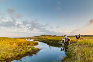 Zwei Personen gehen am schmalen Fluss durch eine grüne Wiesenlandschaft, im Hintergrund weitere Wanderer und ein Steg.