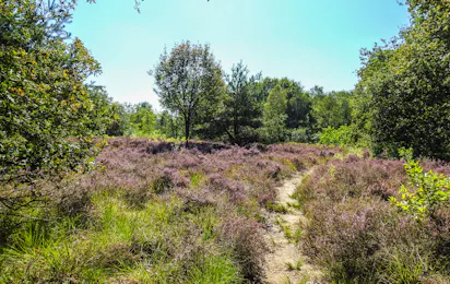 Camping Scholtenhagen