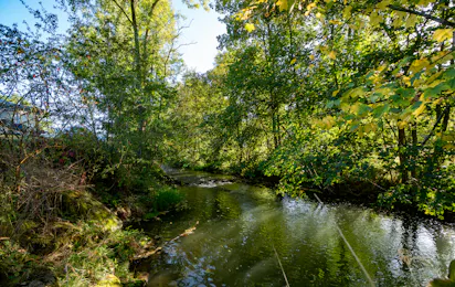 Camping Schwabenmühle