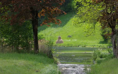 Camping Seegarten