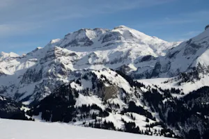 Camping Seegarten - Campingplatz mit Blick auf die Alpen