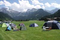 Camping Seegarten  -  Wohnwagen- und Zeltstellplatz vom Campingplatz auf einer Wiese mit Blick auf die Berge