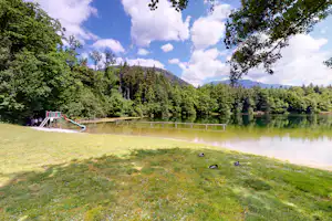 Camping Seehof am Vassachersee - Ausblick auf das Ufer des Sees