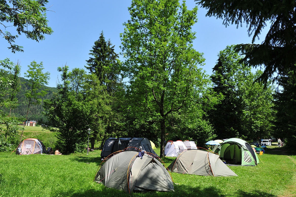 Camping Seemühle - Zeltwiese auf dem Campingplatz