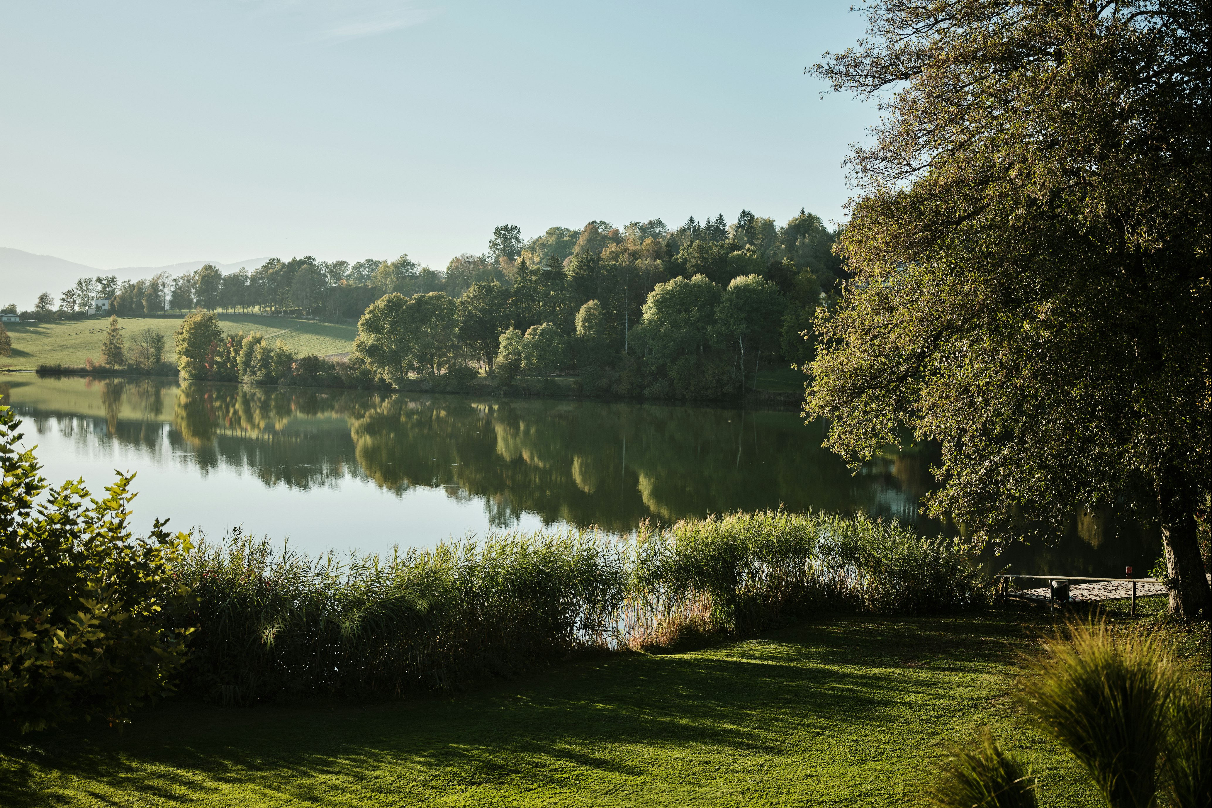 Camping Maltschacher Seewirt  Camping Seewirt - Blick auf den See umgeben von Wald