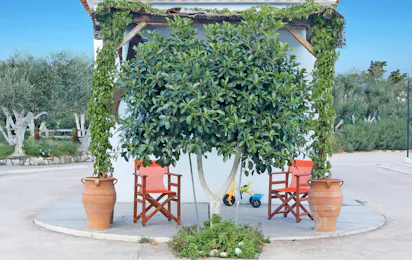 Camping Semeli