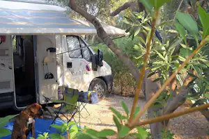Wohnmobil mit Vorzelt und Campingstühlen auf einem Stellplatz im Grünen, im Vordergrund ein Hund.
