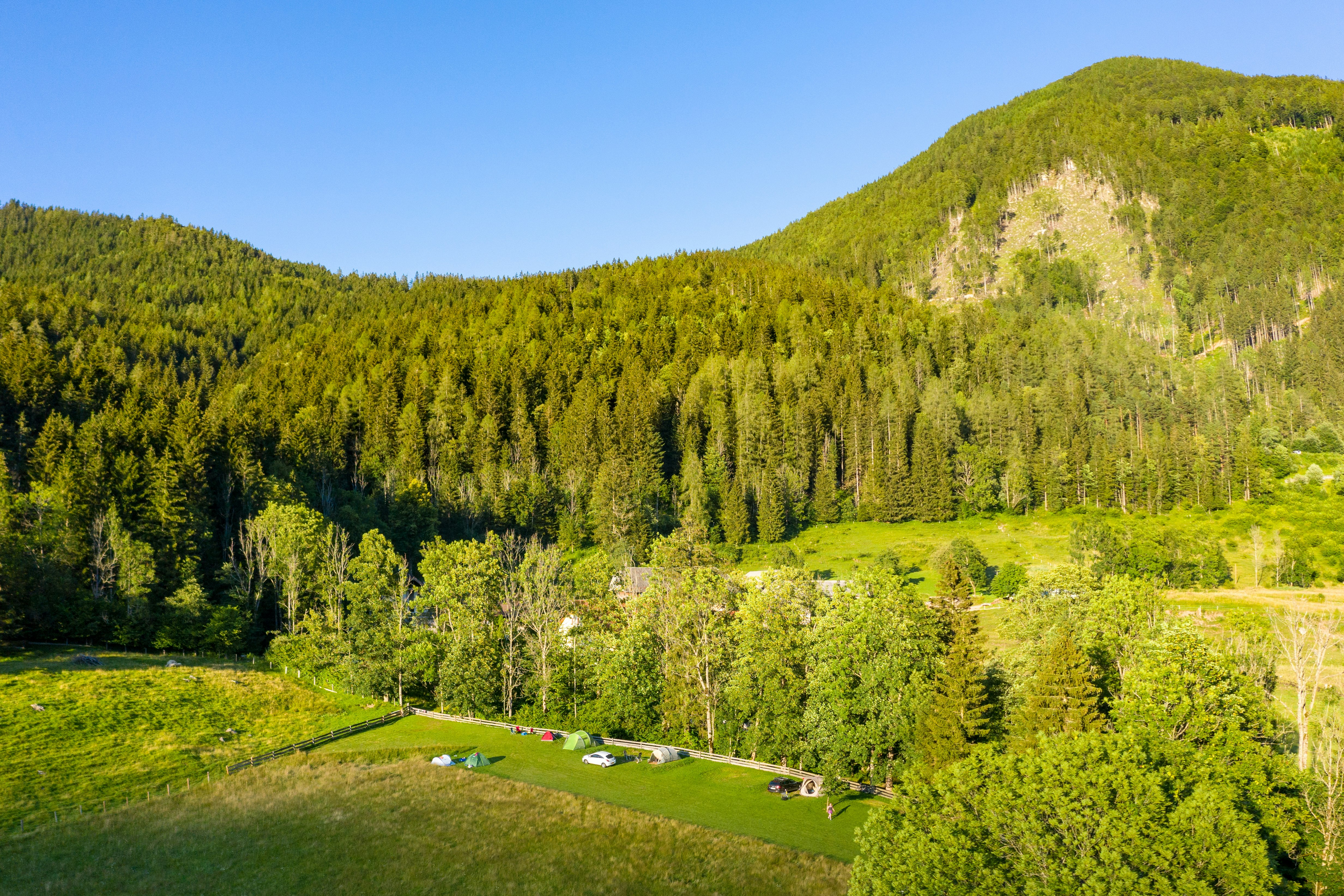 Camping Šenkova Domačija - Zeltwiese-mit-Blick-auf-die-Berge
