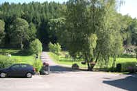 Camping Sensweiler Mühle - Parkplatz mit grünen Plätzen und Wald in der Ferne 