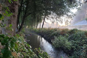 Campingplatz Sensweiler-Mühle - Blick auf den Bach am Campingplatz bei Sonnenaufgang