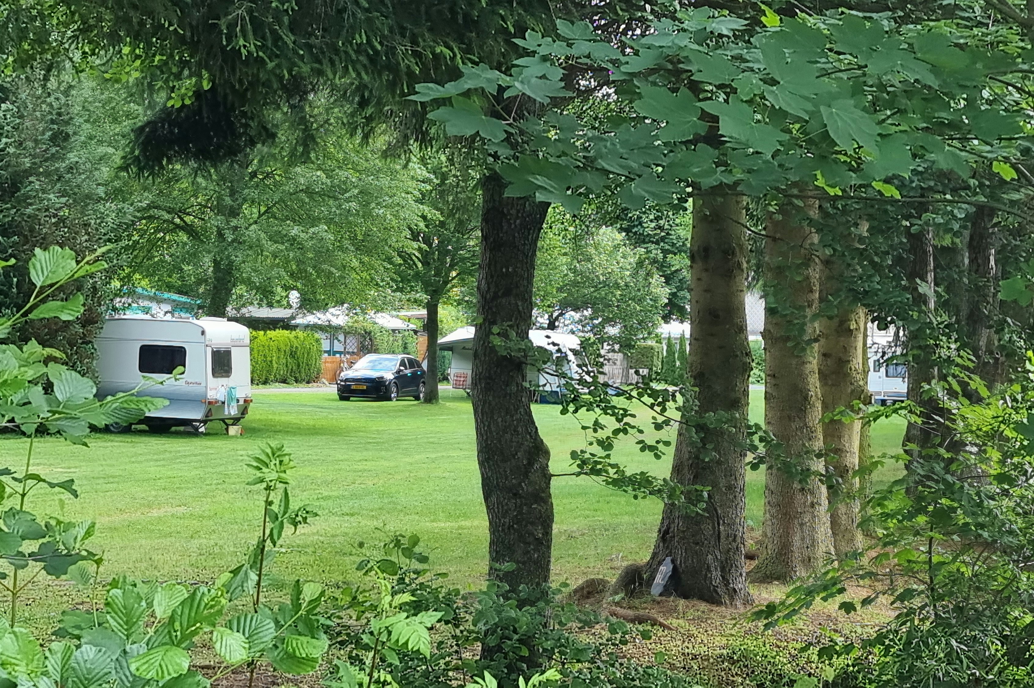 Campingplatz Sensweiler-Mühle