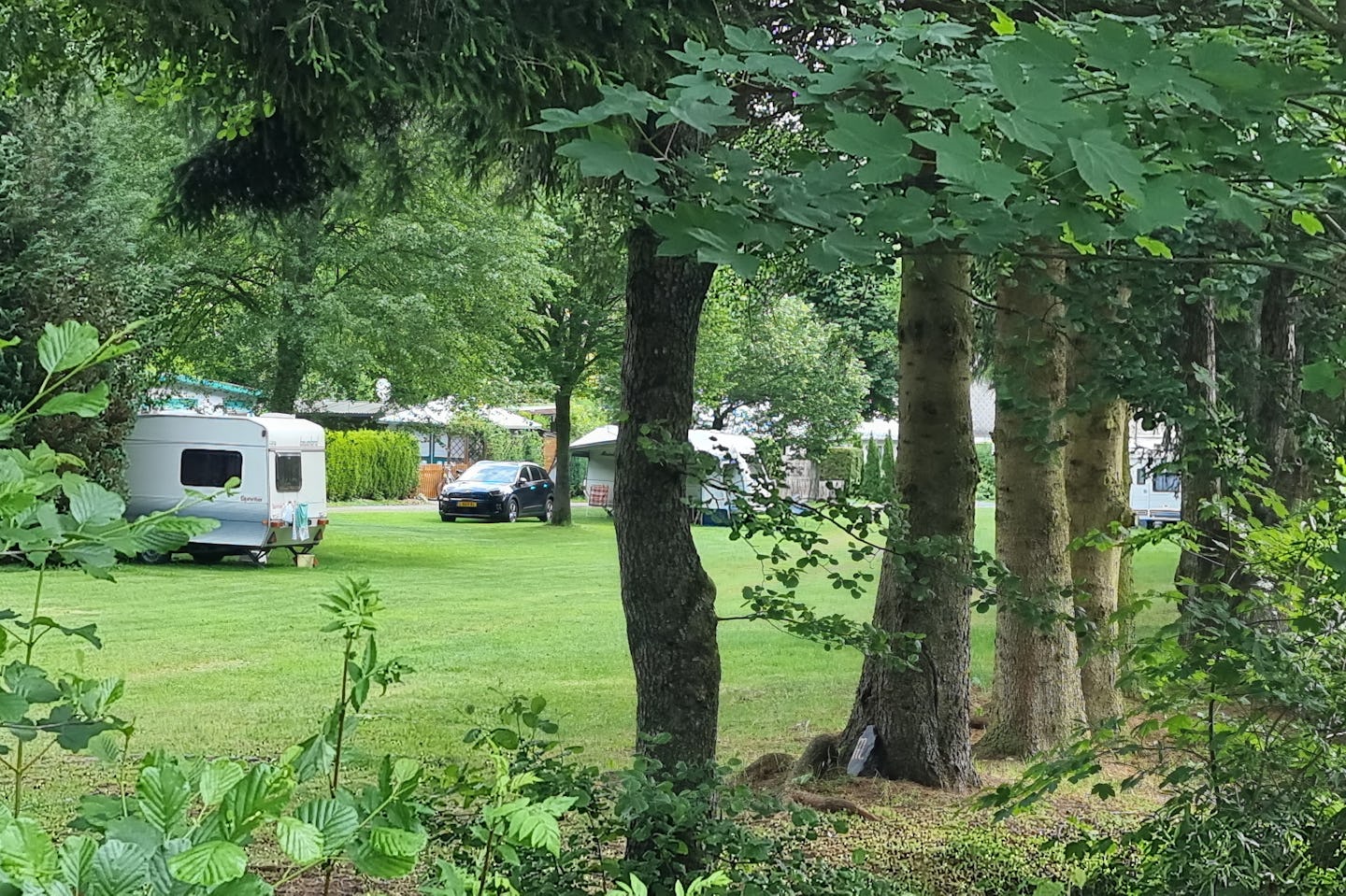 Campingplatz Sensweiler-Mühle