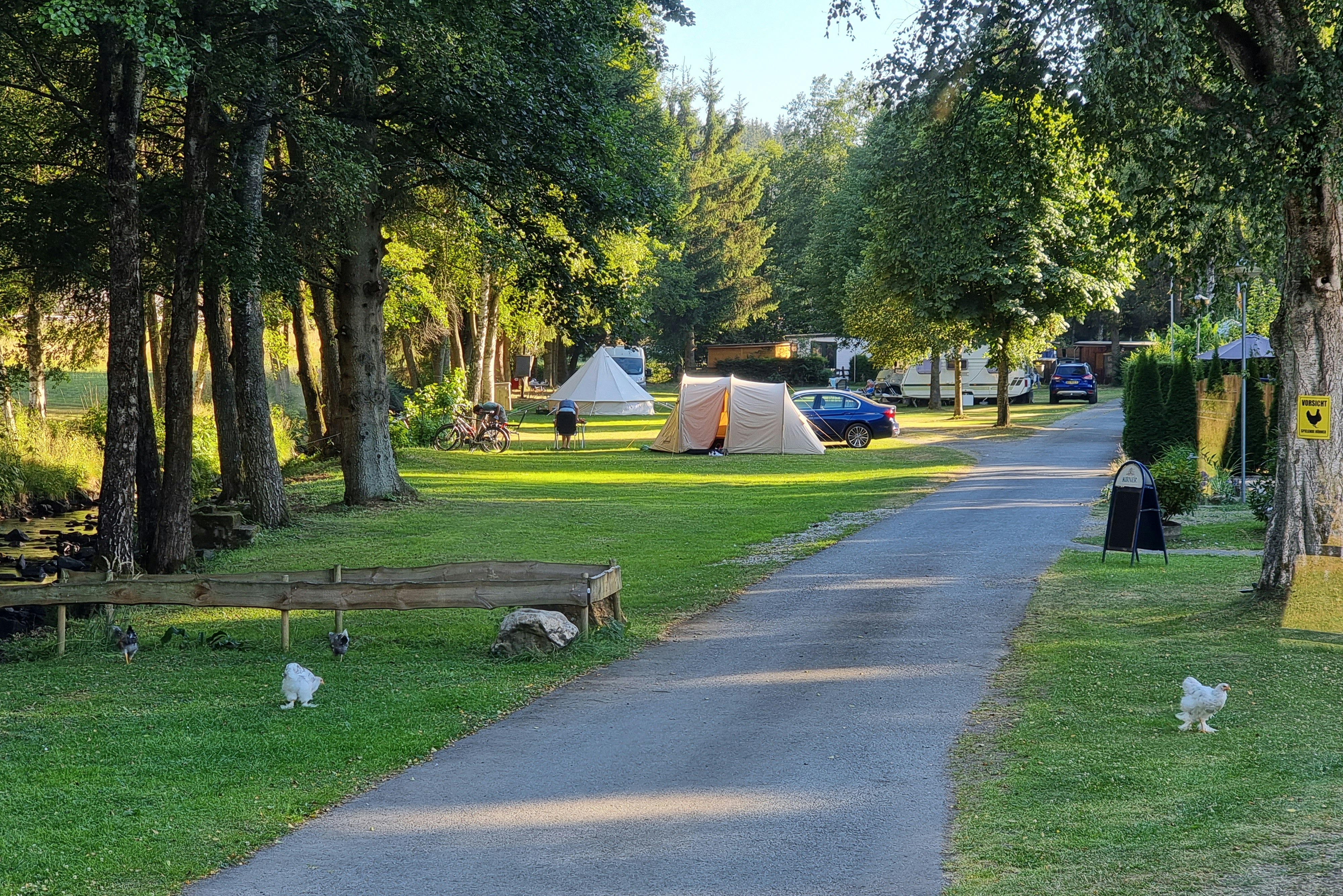 Campingplatz Sensweiler-Mühle - Hühner auf dem Campingplatz