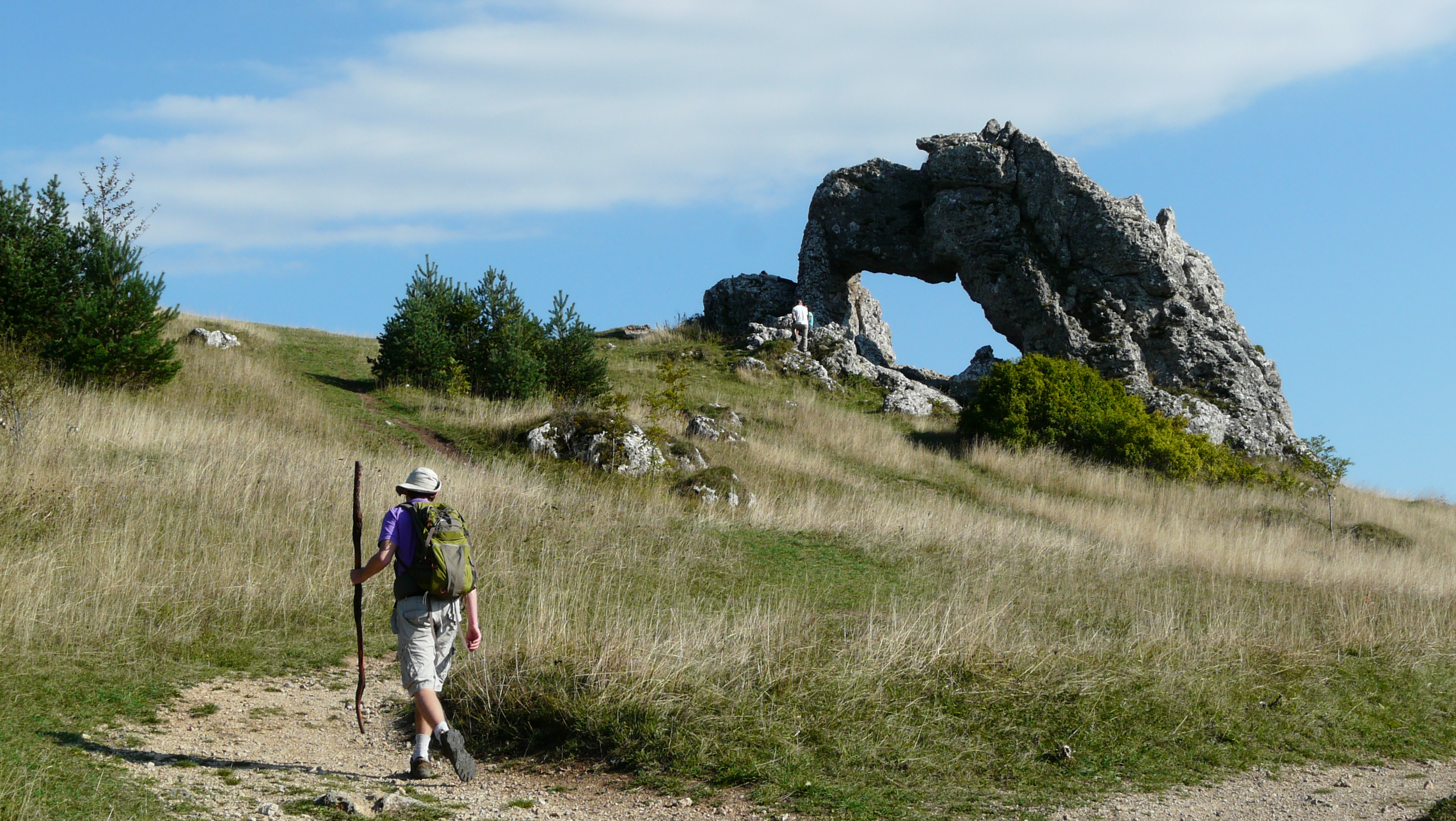 Flower Camping Ser Sirant