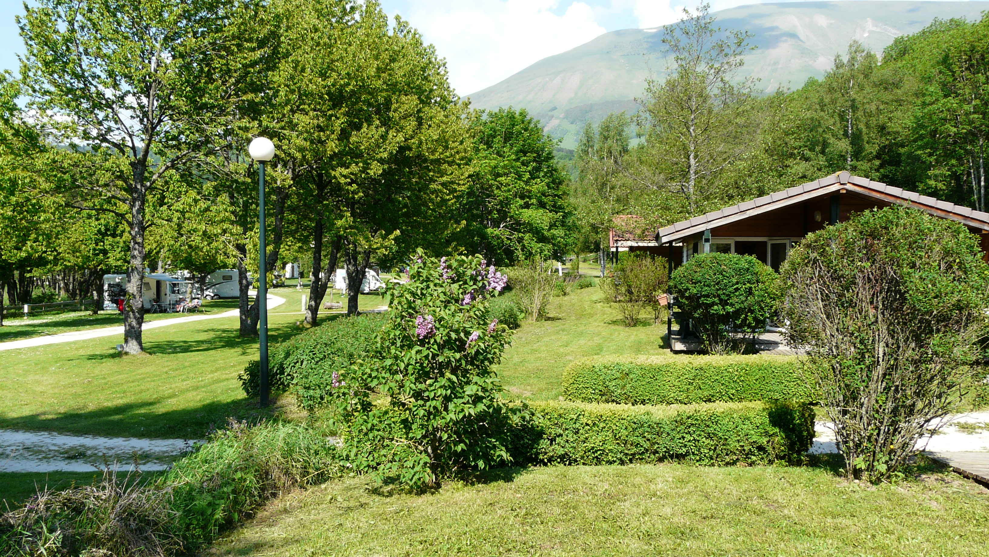 Flower Camping Ser Sirant