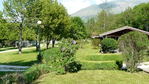 Flower Camping Ser Sirant