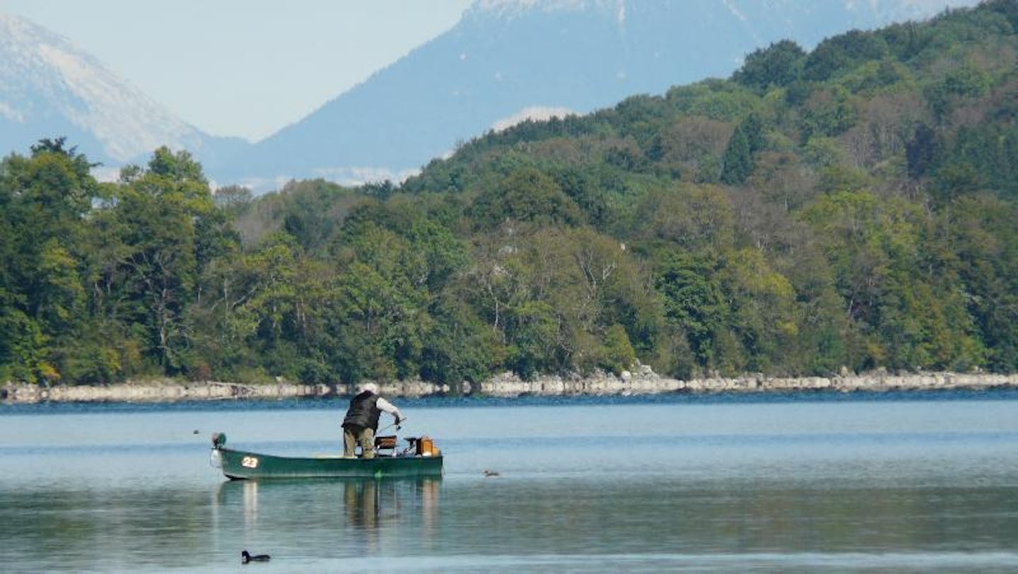 Flower Camping Ser Sirant