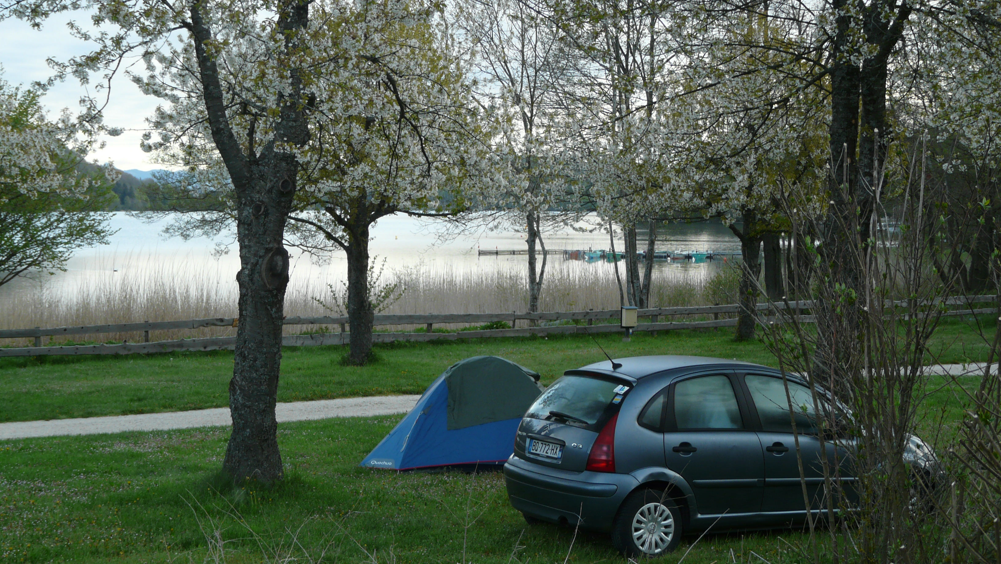 Flower Camping Ser Sirant