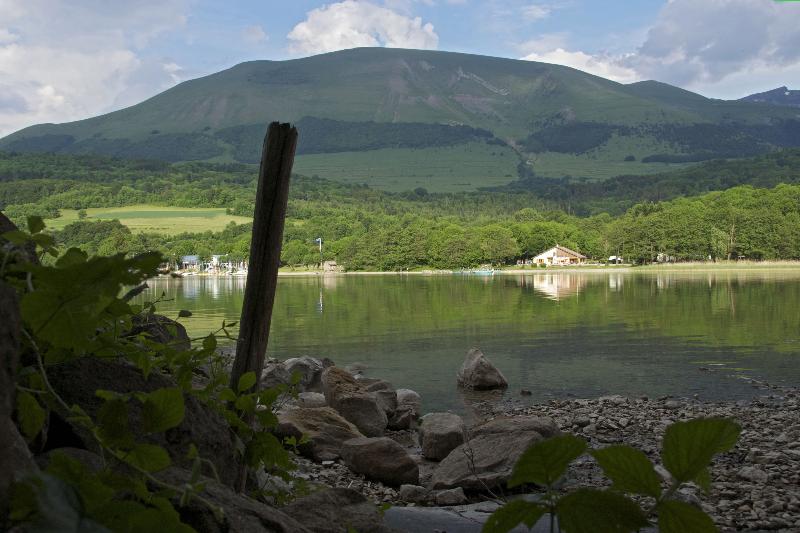 Flower Camping Ser Sirant