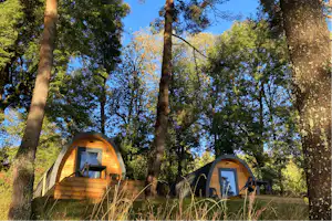 Zwei Campingzelte mit Holzfront im Wald, umgeben von hohen Bäumen und Gras am Boden.