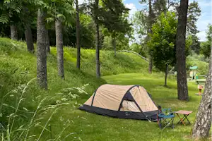 Campingzelt auf einem Stellplatz im Grünen, umgeben von hohen Bäumen und Wiese mit gelben Blüten.