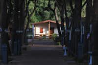 Camping Serenella - Mobilheim mit Terrasse auf dem Campingplatz