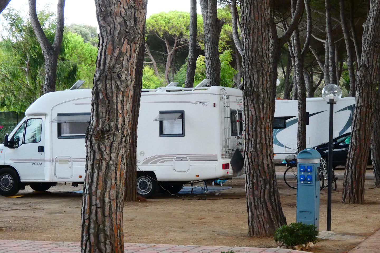 Camping Serenella - Stellplätze zwischen den Bäumen