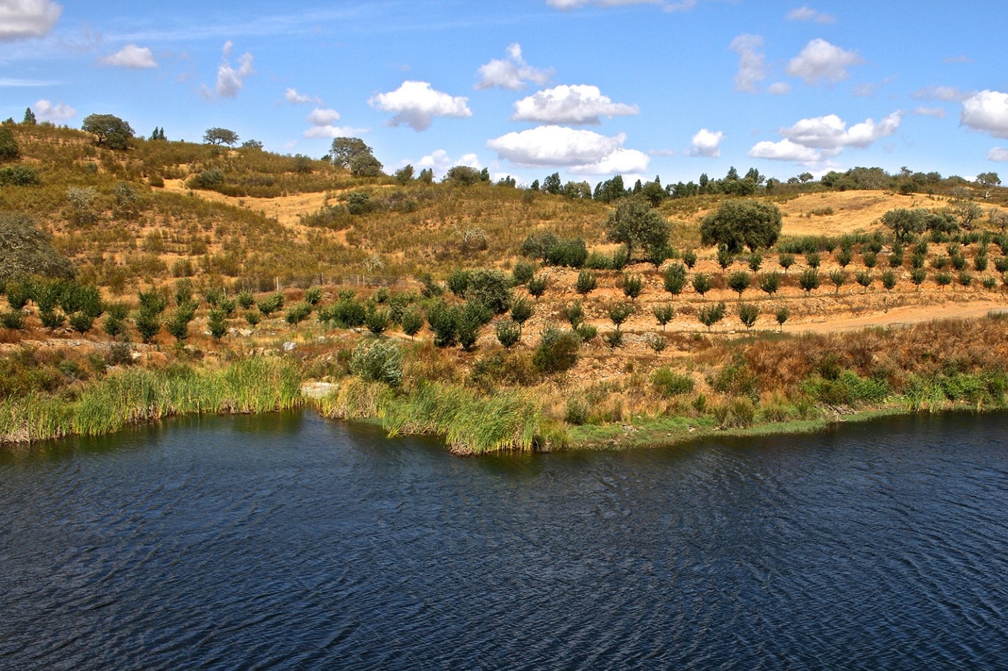 Camping Serro Da Bica - Aussicht auf den See