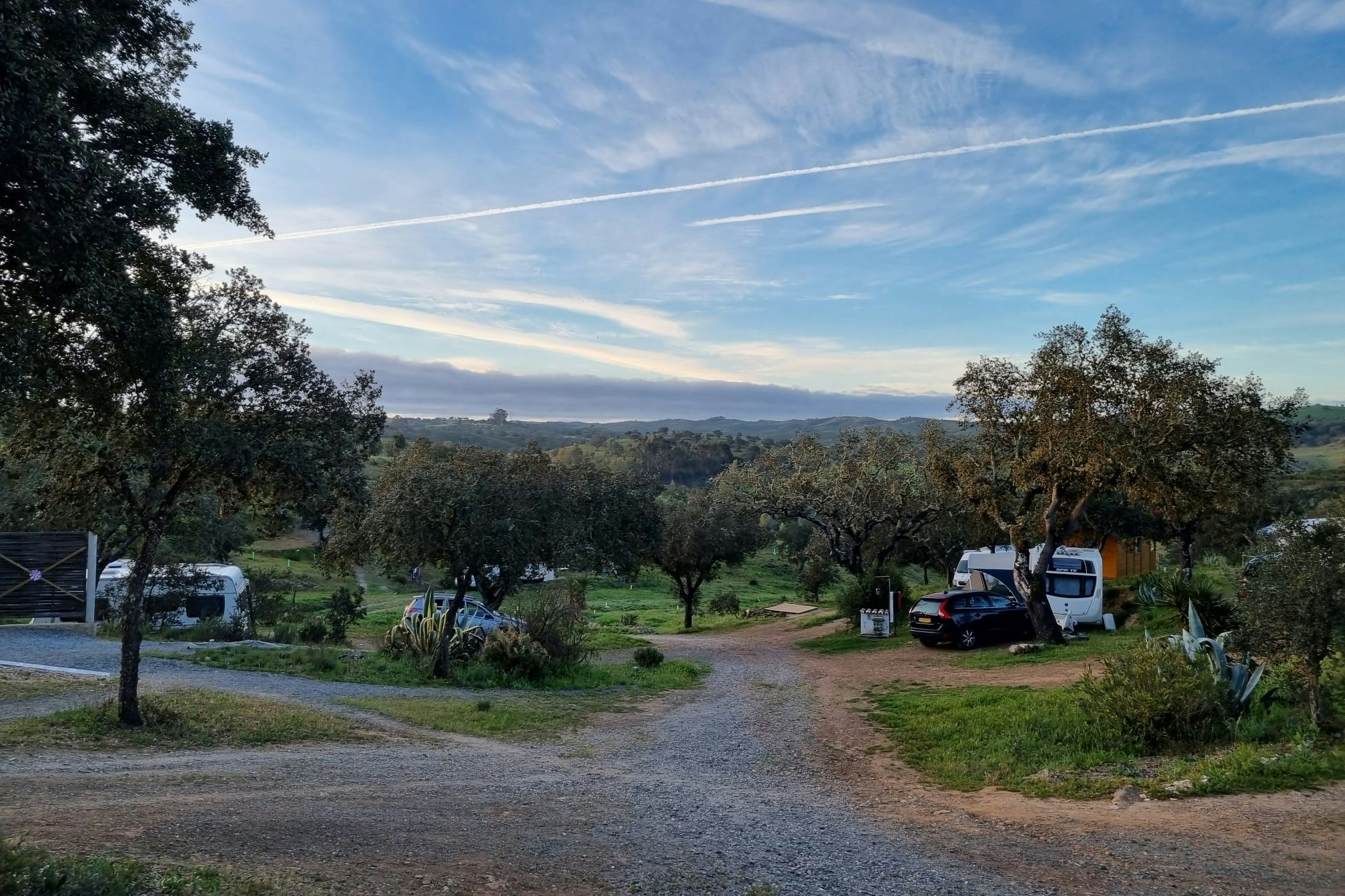 Camping Serro Da Bica - Stellplätze zwischen den Bäumen