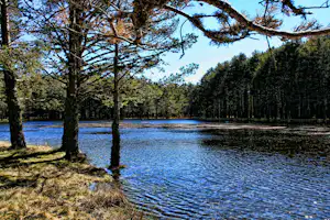 Camping Sierra de Albarracín - Blick auf den See in der Nähe des Campingplatzes