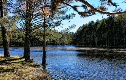 Camping Sierra de Albarracín Corralizas