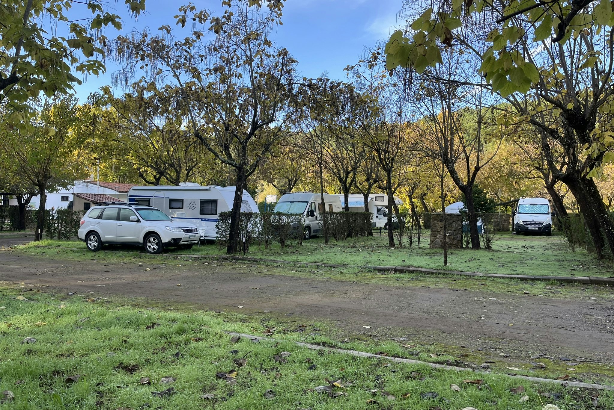 Camping Sierra de Gata - Standplätze auf dem Campingplatz