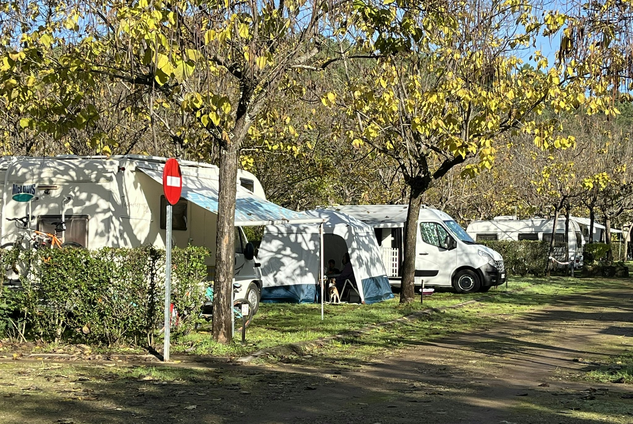 Camping Sierra de Gata - Standplätze zwischen den Bäumen auf dem Campingplatz