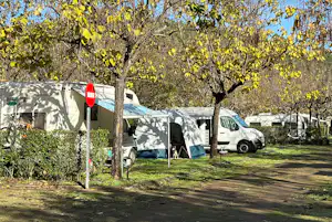 Camping Sierra de Gata - Standplätze zwischen den Bäumen auf dem Campingplatz