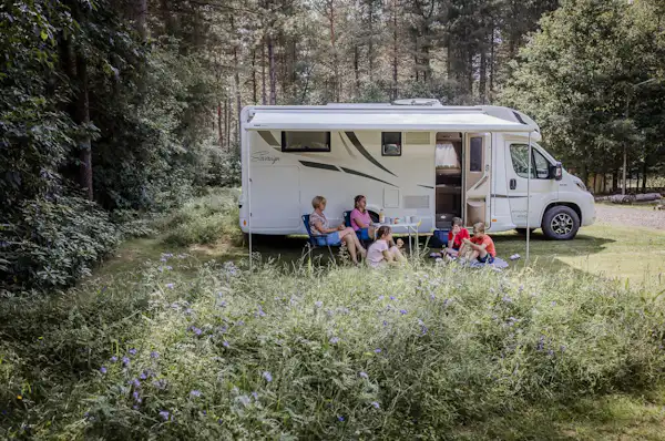 Camping Siesta (Lille)