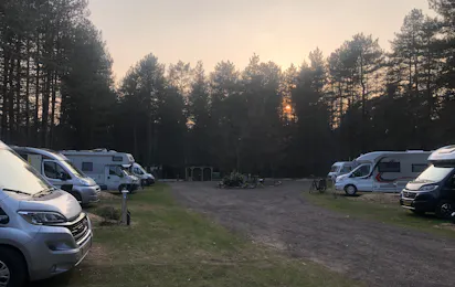 Camping Siesta (Lille)