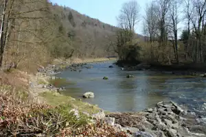 Fluss im Waldtal mit Felsbrocken am Ufer, Bäume und bewaldete Hänge im Hintergrund.